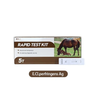 RAPID TEST EQUINE E.CI.perfringens Ag